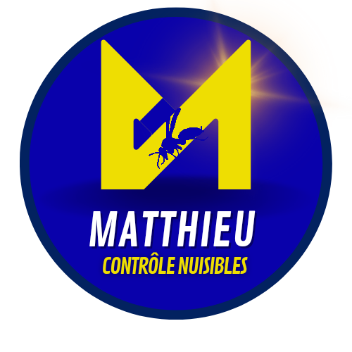 matthieu